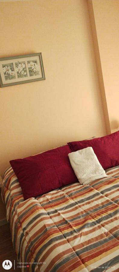 Apartament Acogedor Monoambiente Con Parking Neuquén Zewnętrze zdjęcie